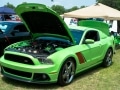 2012_carshow-30