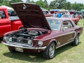2013-carshow-web-11