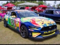 2019Carshow-246